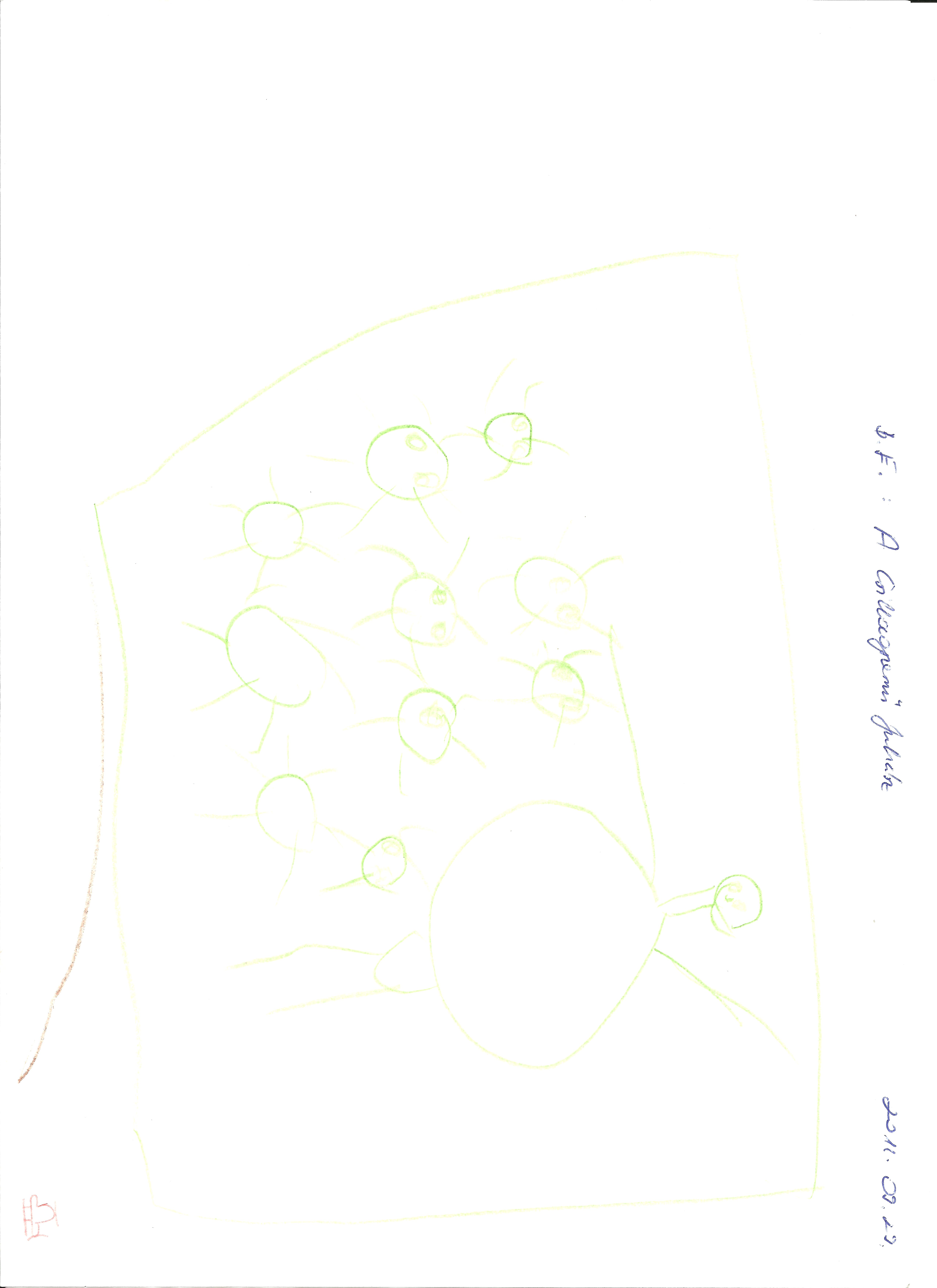 Rajz12